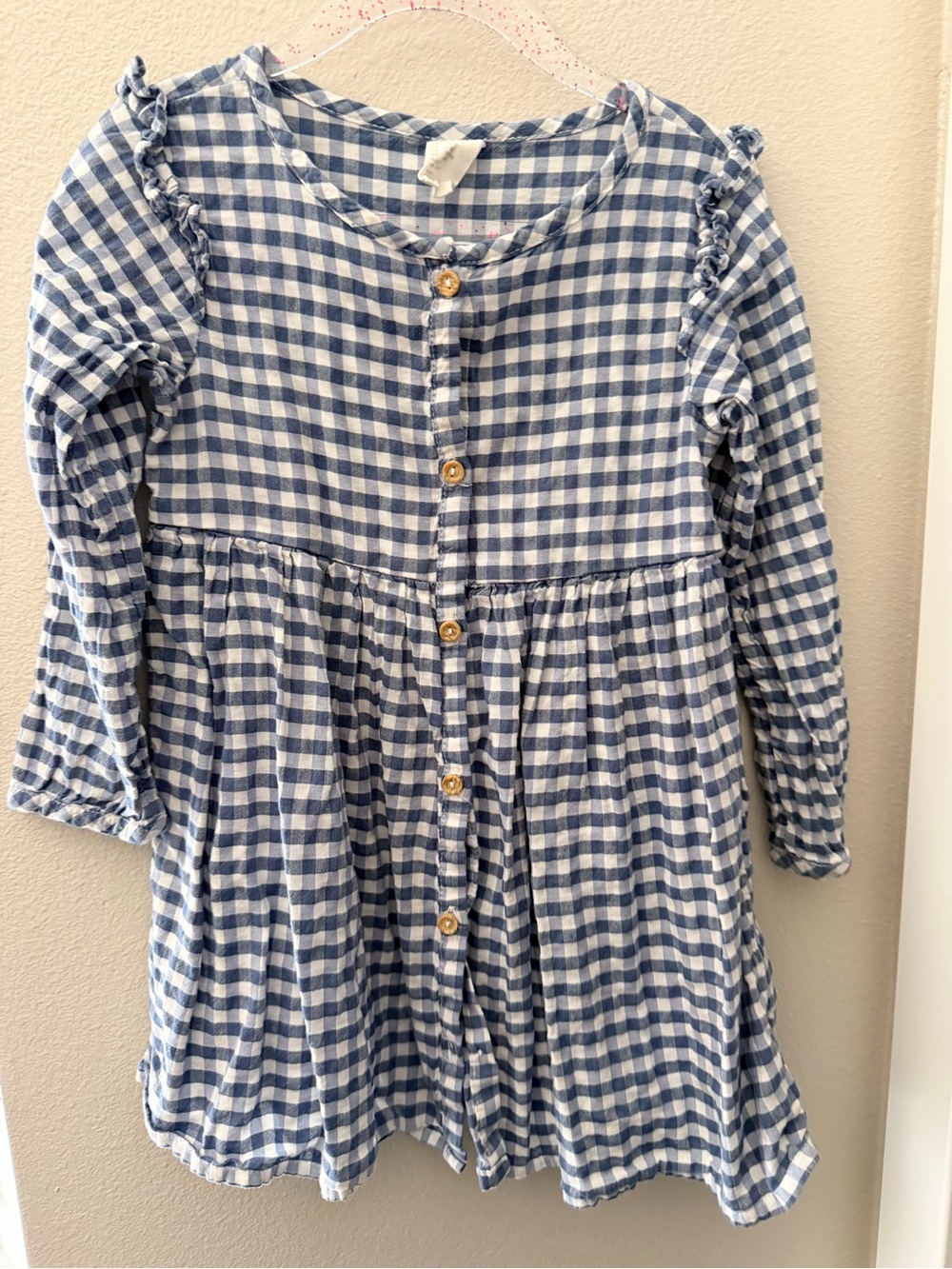 H&M Girls Blue and White Gingham Button-Front Dress